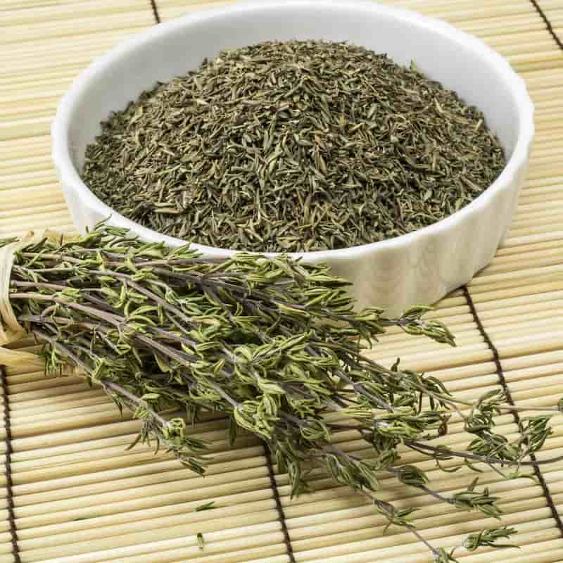 آویشن کوهی